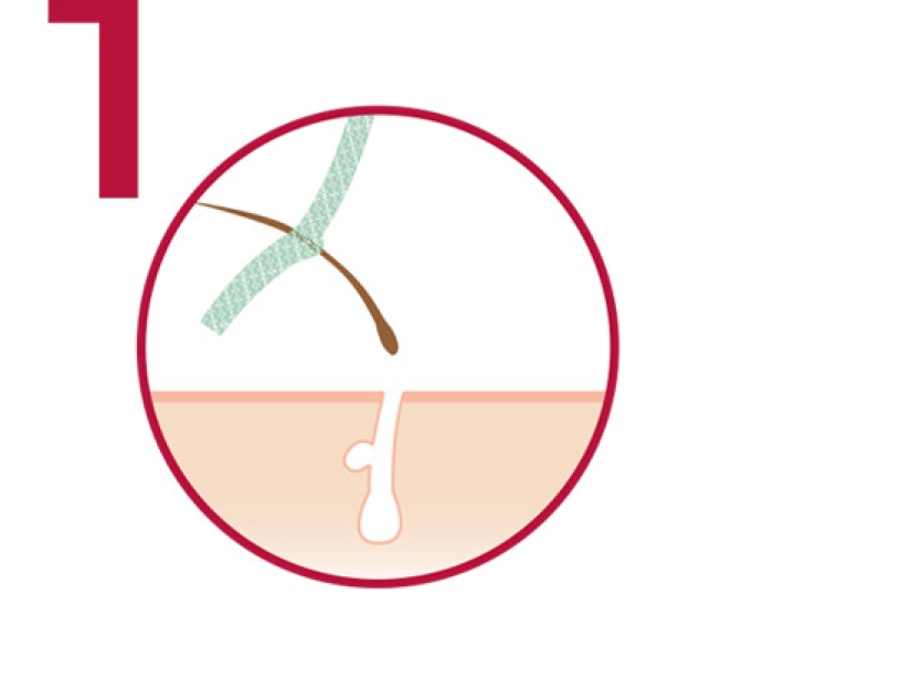 STICK’HAIR GREEN® - ÉPIL SMART GREEN